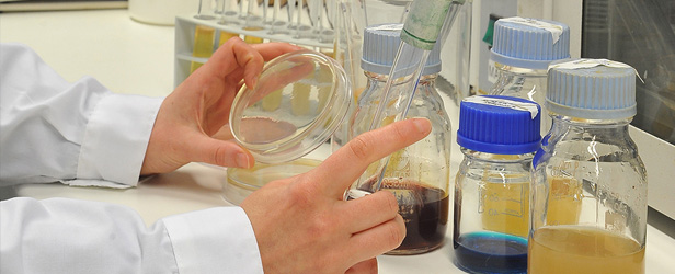 vendita colture lattiche liofilizzate per latti fermentati e formaggi