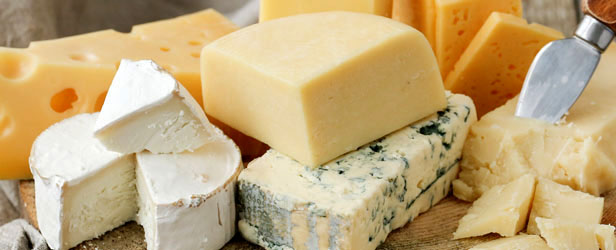 Vendita fermenti lattici per produzione formaggi tradizionali